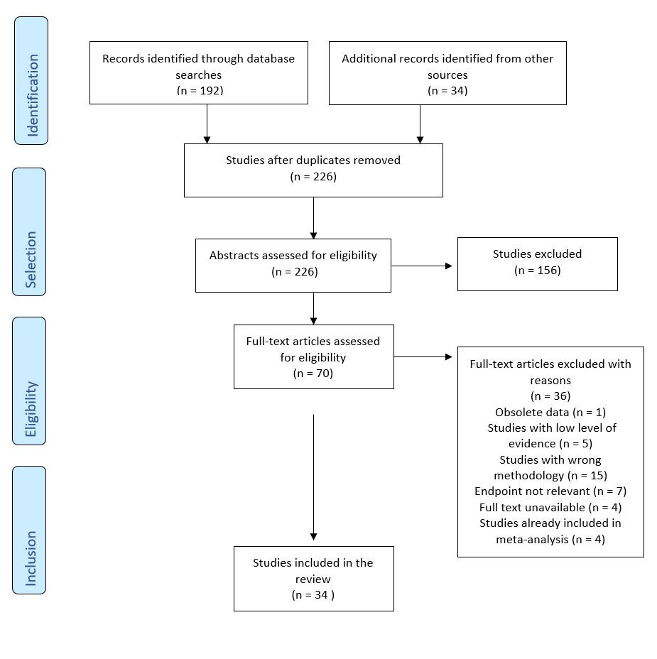 Figure 1: PRISMA flow diagram detailing the search strategy