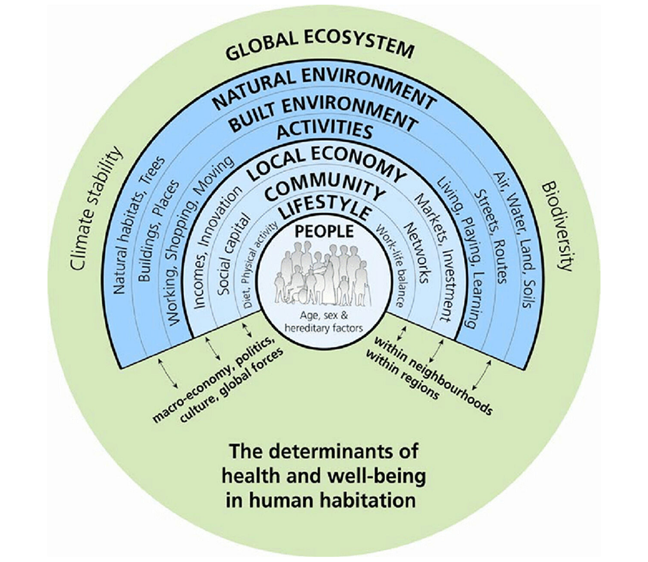 Abb. 1: Die Health Map von Barton & Grant verdeutlicht die Wechselwirkungen zwischen dem Menschen „People“ und seiner Umwelt 