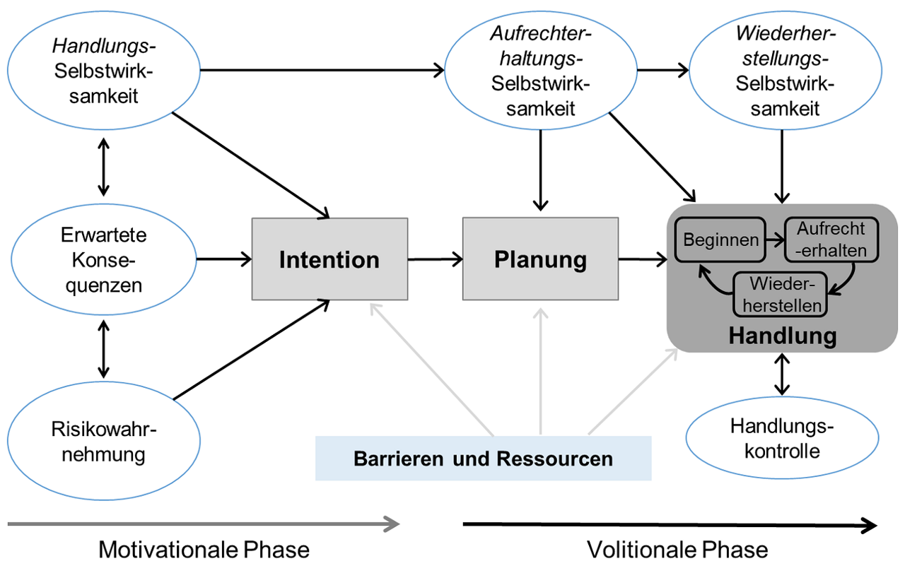 Das sozial-kognitive Prozessmodell des Gesundheitsverhaltens