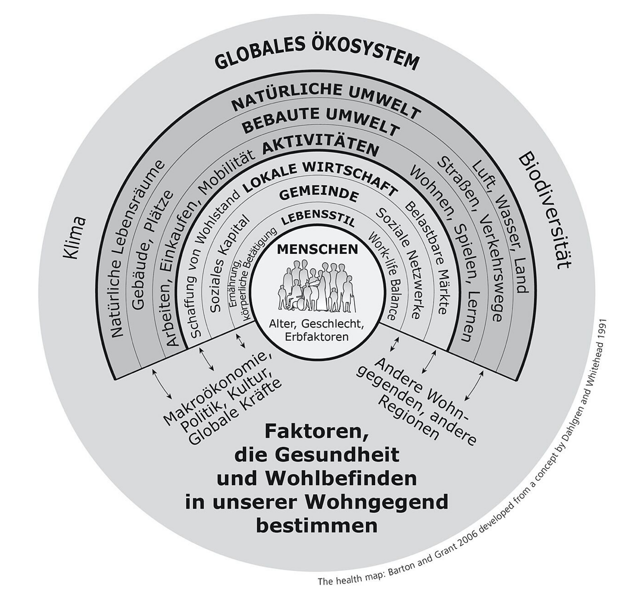 Health Map 