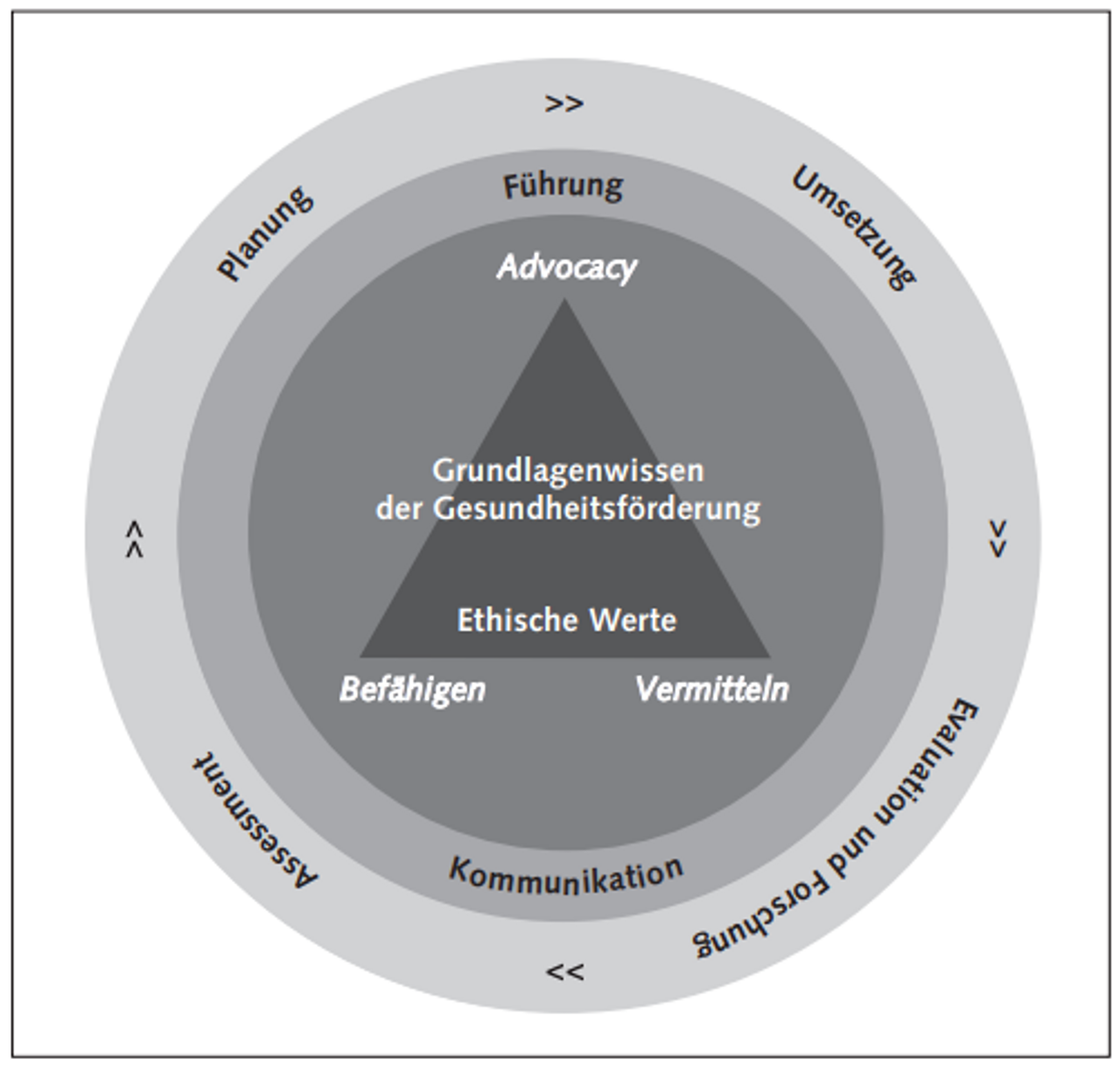 Die CompHP-Kernkompetenzen der Gesundheitsförderung