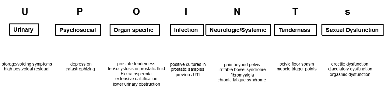 Figure 1: Phenotypic classification according to UPOINRs (adapted with permission from Elsevier).