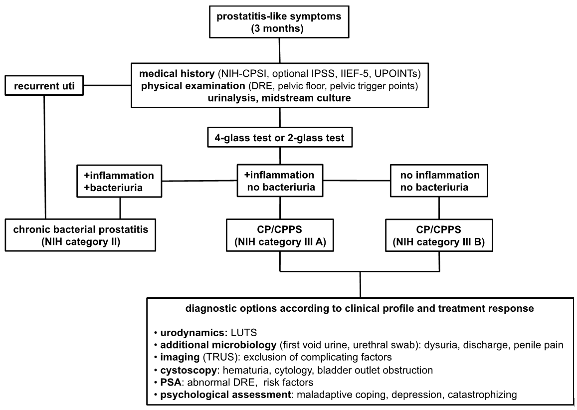 Figure 2: Diagnostic algorithm for patients suggestive of CP/CPPS (adapted with permission from Elsevier).